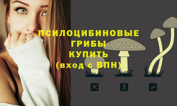 МДПВ Алексеевка