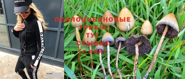 соль курить ск Абаза