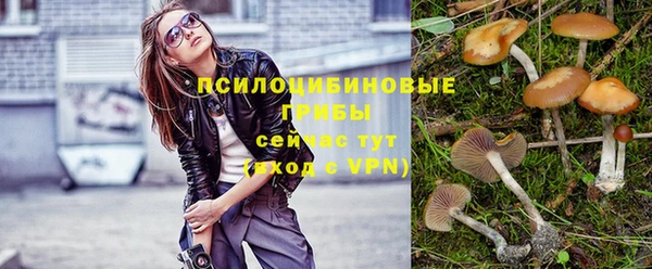 твердый Абдулино