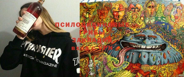 метамфетамин Алексин