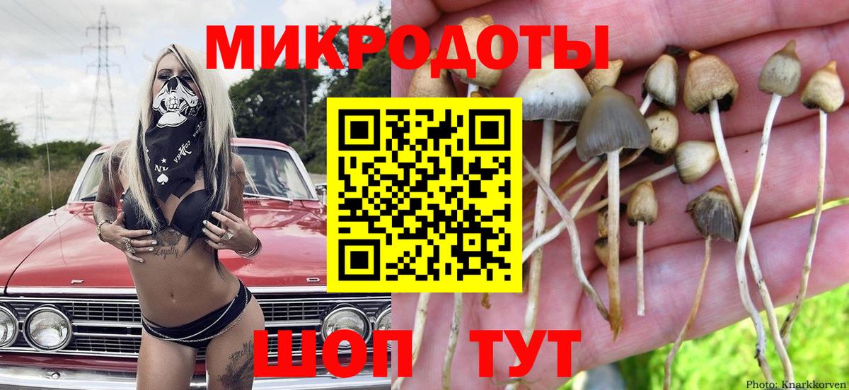 Псилоцибиновые грибы прущие грибы Усолье-Сибирское