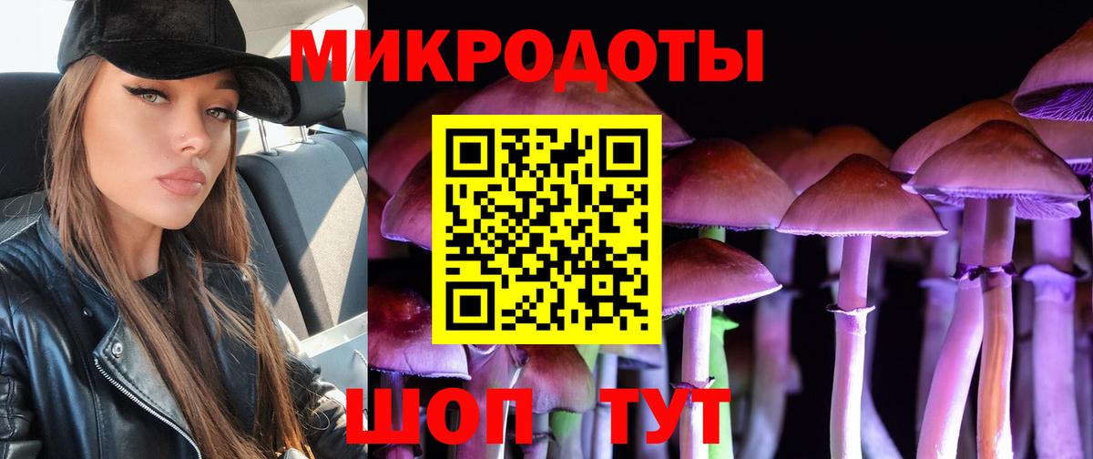 Псилоцибиновые грибы Psilocybe  Усолье-Сибирское 