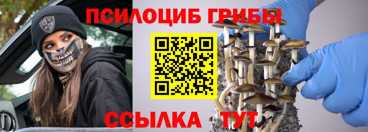 Галлюциногенные грибы прущие грибы Усолье-Сибирское